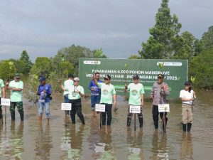 Pemkab Kutai Timur Tanam 4.000 Mangrove di Teluk Lingga, Kolaborasi PT APE dan Jejakin