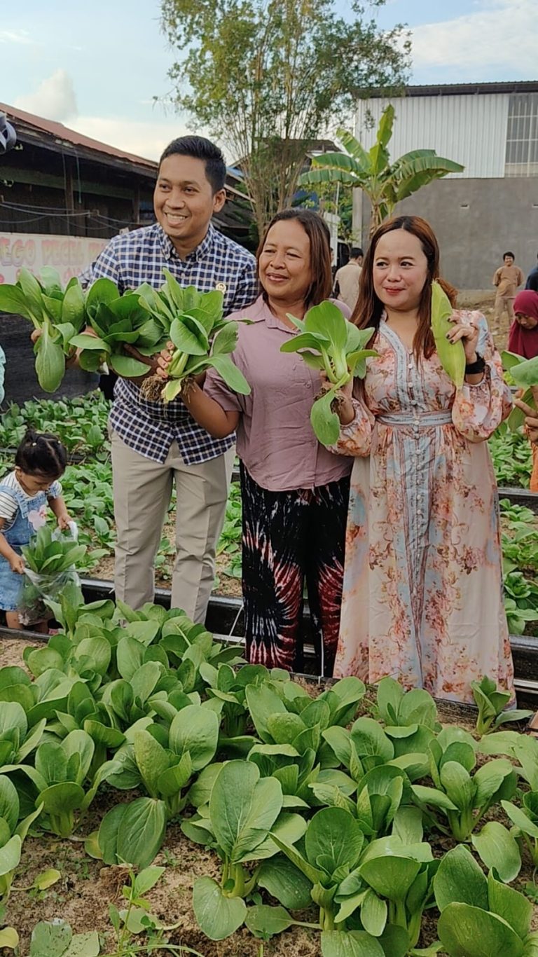 Pandi ambil sayur