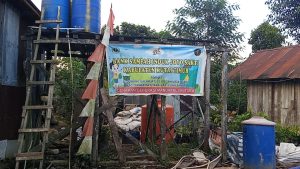 bsi bejo