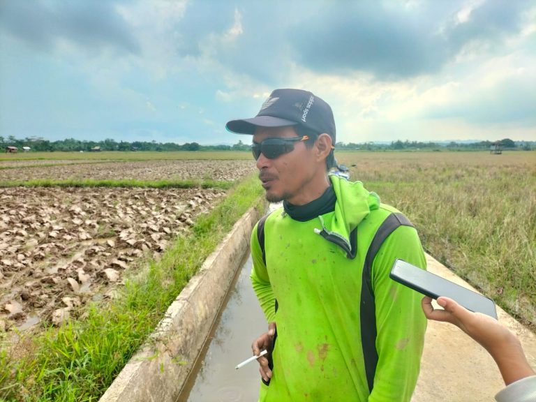 petani