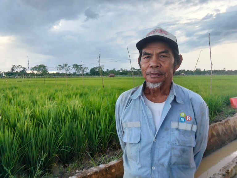 petani sangata selatan