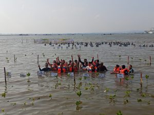 PAMA Group Perkuat Sinergi dengan Media Lewat Aksi Tanam 2.000 Mangrove di Pesisir Semarang
