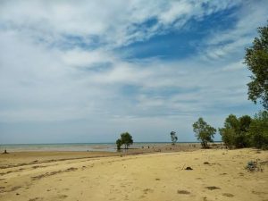 Pantai dan Mangrove Teluk Singkama, Harmoni Keindahan Pantai dan Hutan Mangrove di Sangatta Selatan